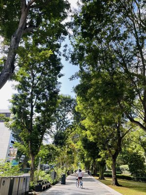 Orchard Rd by null