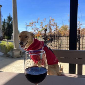 Baily Vineyard & Winery - Wineries Near Me - Temecula, California Baily Vineyard & Winery - Wineries Near Me - Temecula, California