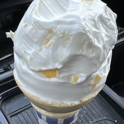 The Moo Shoppe Ice Cream - I don't know what this is, but it's not ice cream.