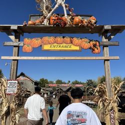 Roca Berry Farm - Entrance