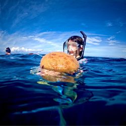 Liquid Hawaii - A cushion star fish!