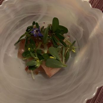 Citrin - Yellowtail Hamachi Crudo - Cocktail Bars Near Me - Santa Monica, California