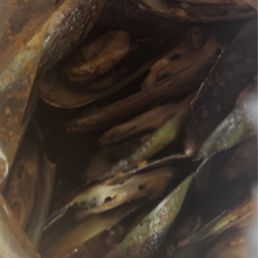 Bad batch of clams Bad batch of clams