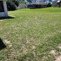 Photo of Clean Green Lawn Service