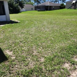 Clean Green Lawn Service