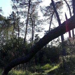 Parco  di Galceti