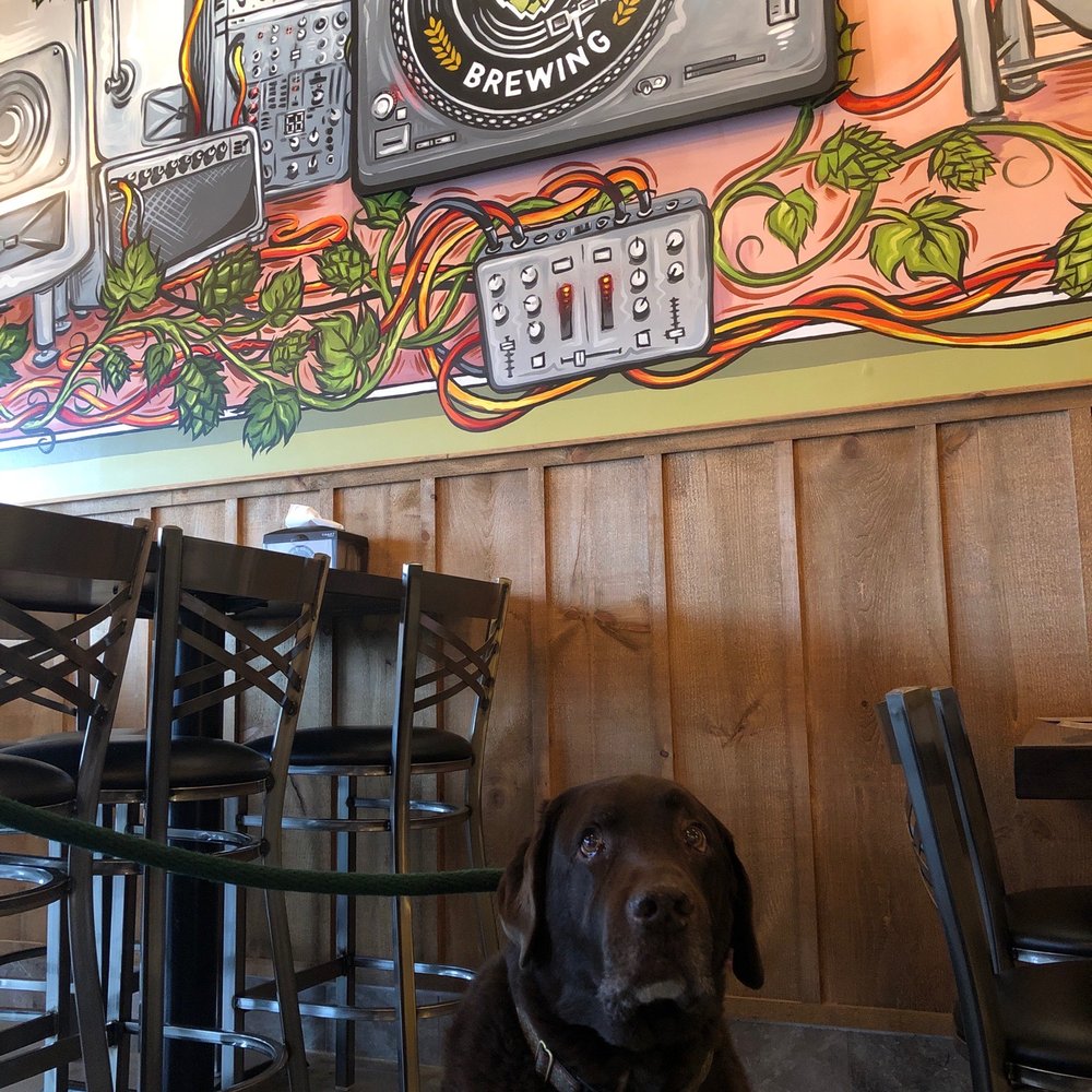Double Groove Brewing - Dexter in the taproom - Breweries Near Me - Forest Hill, Maryland Double Groove Brewing - Dexter in the taproom - Breweries Near Me - Forest Hill, Maryland