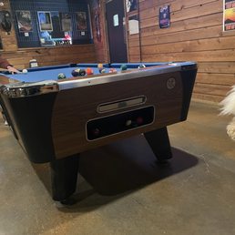 Pool tables, leashed pup Pool tables, leashed pup