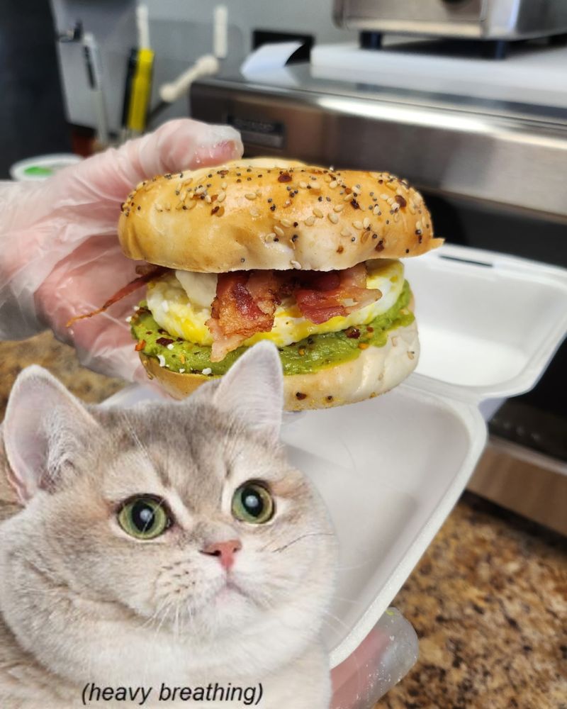 Food from Dakota Cat Cafe