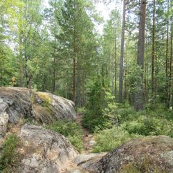 Naturum Dalarna - Along the forest trail