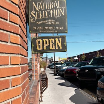 Natural Selection - Storefront - Taxidermy Near Me - Reno, Nevada