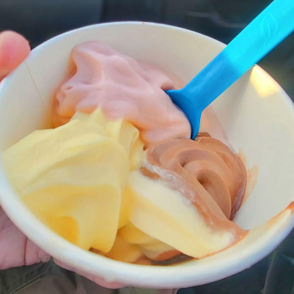 Swirl Time - Pineapple,  Strawberry,  Choc/ Vanilla Swirl - Ice Cream & Frozen Yogurt Near Me - Rohnert Park, California