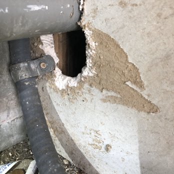 Brothers Environmental Services - Rodent damage your home quickly! - Pest Control Near Me Brothers Environmental Services - Rodent damage your home quickly! - Pest Control Near Me