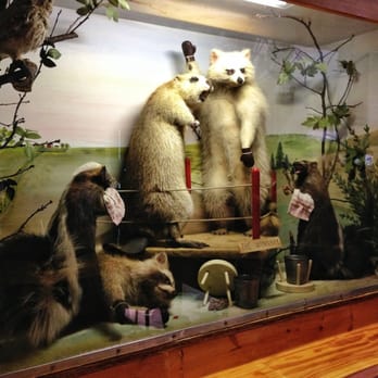 Moccasin Bar - The taxidermy is the best part - Dive Bars Near Me - Hayward, Wisconsin Moccasin Bar - The taxidermy is the best part - Dive Bars Near Me - Hayward, Wisconsin