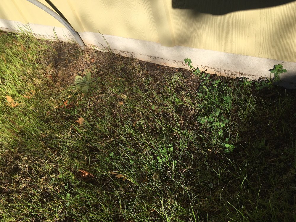 Slide of Bluebonnet Custom Roofing