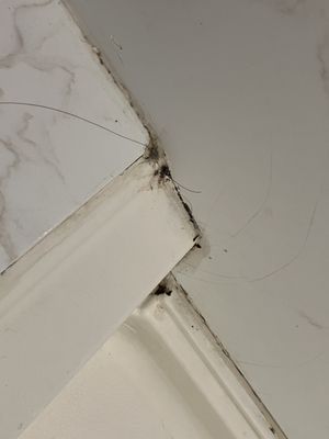 Thunderbird Boutique Hotel by null