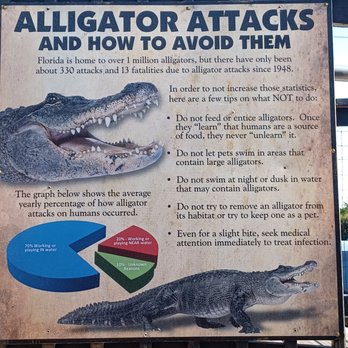 Gator Beach - Amusement Parks Near Me - Destin, Florida
