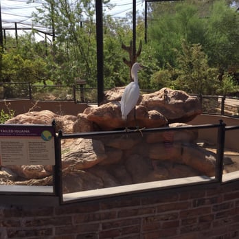 Phoenix Zoo - Zoos Near Me - Phoenix, Arizona Phoenix Zoo - Zoos Near Me - Phoenix, Arizona