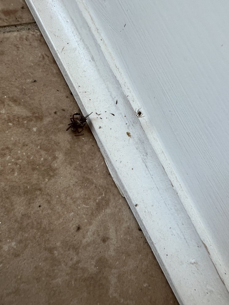 COURTLAND RESORT Updated September 2024 40543 Courtland Farm Ln