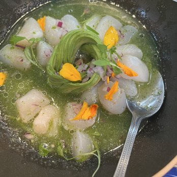 Holbox - Scallop Ceviche - Latin American Near Me - Los Angeles, California Holbox - Scallop Ceviche - Latin American Near Me - Los Angeles, California