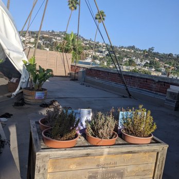 Trilogy Sanctuary - Juice Bars & Smoothies Near Me - La Jolla, California