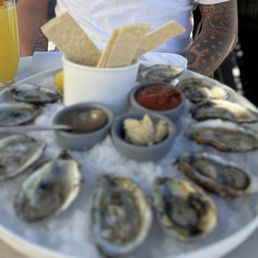 Oysters Oysters