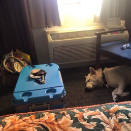 Ac and my beautiful dog!
