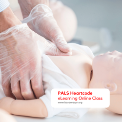 Safety Training Seminars - PALS Heartcode Training in Folsom