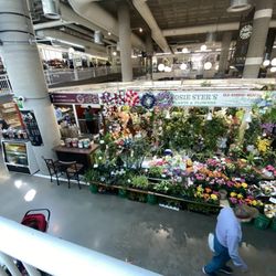 Hamilton Farmers Market