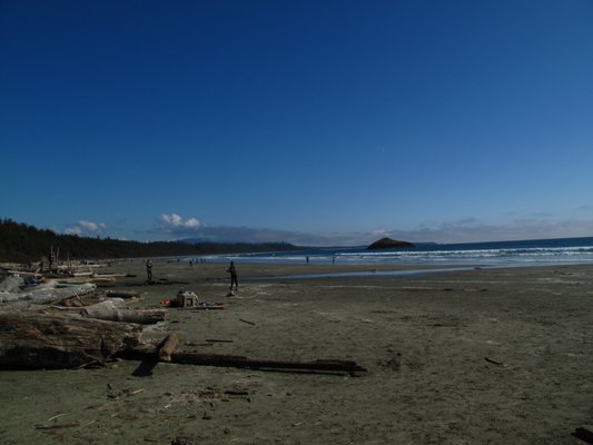 Chesterman Beach by null