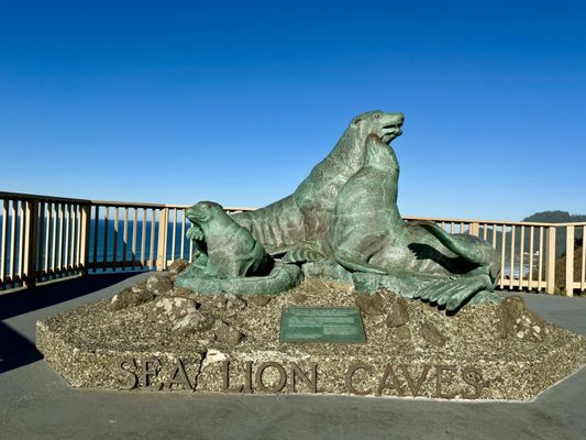 Sea Lion Caves by null