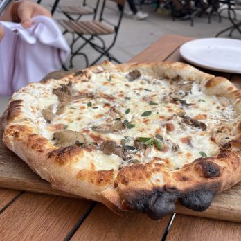Tre Rivali - Mushroom pizza - Mediterranean Near Me - Milwaukee, Wisconsin Tre Rivali - Mushroom pizza - Mediterranean Near Me - Milwaukee, Wisconsin