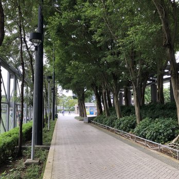 鰂魚涌公園二期 - Walking trail - Parks Near Me - Hong Kong, HK