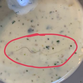 Chuy's - Hair inside the creamy jalapeño ranch... yuck - Tex-Mex Near Me - Plano, Texas