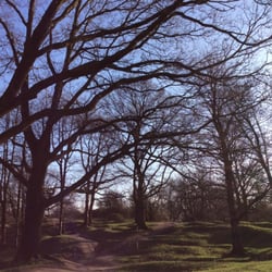 Hill 60
