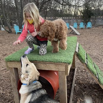 Neighbors - Dog Parks Near Me - Austin, Texas