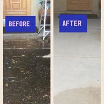 Semper Fi Pest - Pest Control Near Me Semper Fi Pest - Pest Control Near Me