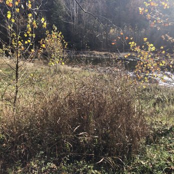 Patapsco Valley State Park - Parks Near Me - Ellicott City, Maryland