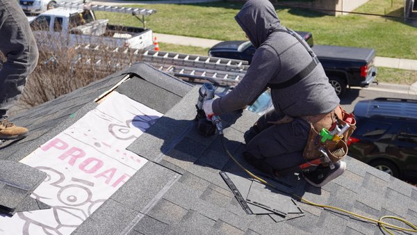 Roof Replacement - We replaced the entire roof and upgraded the old, rotted, and thin decking with brand new 1/2" CDX plywood. The new decking provides a solid, durable foundation for the shingles, ensuring a stronger, longer-lasting roof built to modern standards. Roof Replacement - We replaced the entire roof and upgraded the old, rotted, and thin decking with brand new 1/2" CDX plywood. The new decking provides a solid, durable foundation for the shingles, ensuring a stronger, longer-lasting roof built to modern standards.