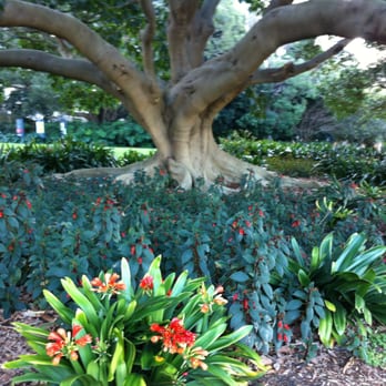 Royal Botanic Gardens - Botanical Gardens Near Me - Sydney, NSW Royal Botanic Gardens - Botanical Gardens Near Me - Sydney, NSW