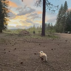 Golden Coach RV Park & Campground - View from campsite.