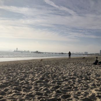 Rosie's Dog Beach - Dog Parks Near Me - Long Beach, California Rosie's Dog Beach - Dog Parks Near Me - Long Beach, California