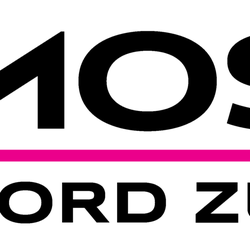 Mosaic Ford Zumbrota - Mosaic Ford Zumbrota Logo