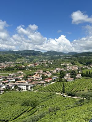Azienda Agricola Quintarelli Giuseppe by null