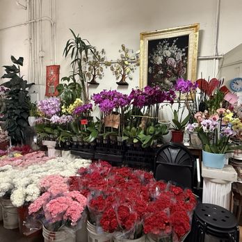 Sweetheart Florist - Florists Near Me - San Francisco, California Sweetheart Florist - Florists Near Me - San Francisco, California