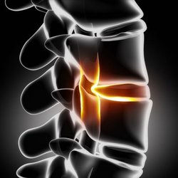 Dixie Chiropractic