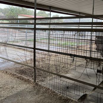 Hidden Hills Equestrian Ranch - Damaged wire between stalls - Horse Boarding Near Me - Bonsall, California