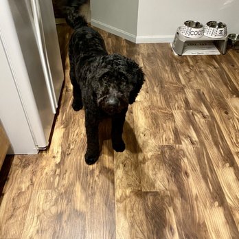 PetSmart - Pet Training Near Me - Bellingham, Massachusetts