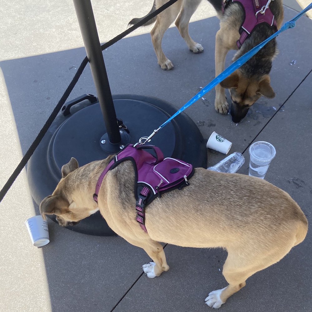 Starbucks - Coffee & Tea Near Me - Temecula, California Starbucks - Coffee & Tea Near Me - Temecula, California