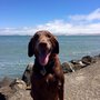 Photo of Richardson Bay Park